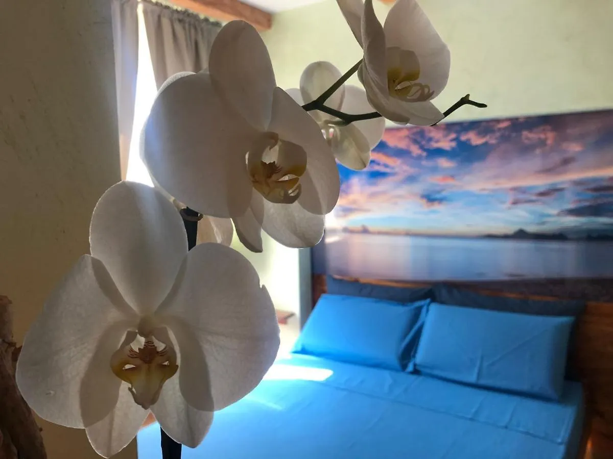 Dream & Relax Villa Fiore Bari Italien